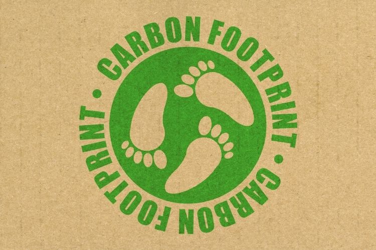 What is carbon footprint in business?
